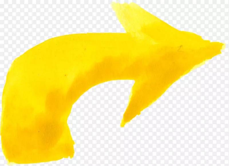 ��ɫ��ɫˮ�ʻ���ͷ-ˮ��-������