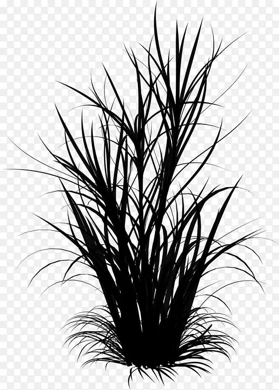 ͼƬ�������������Ĳ���-������