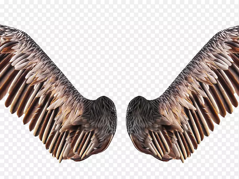 �������pngͼƬ����ͼ��.��-������