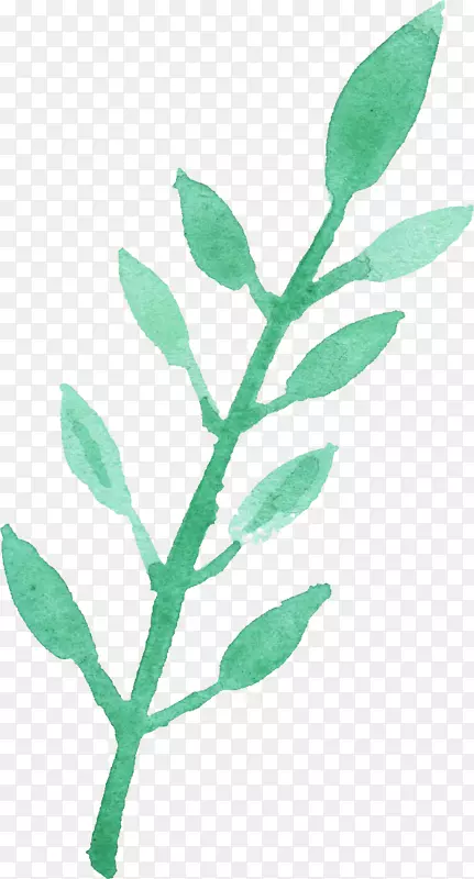 Ҷˮ�ʻ�������-������