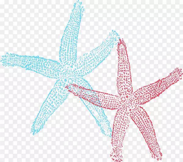 ���Ǽ�����-����-������