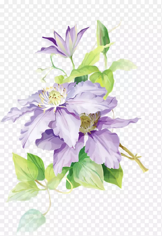 ˮ�ʻ�����ˮ�ʻ���-������