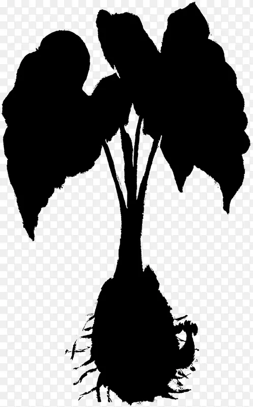 ��������ӰҶh&m����ֲ��-������