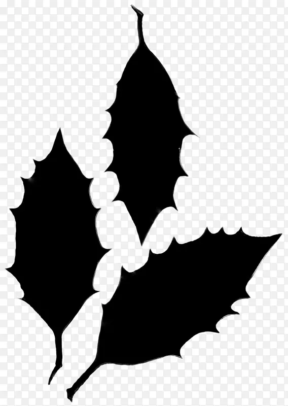 ��������ӰҶ����ֲ���֦-������