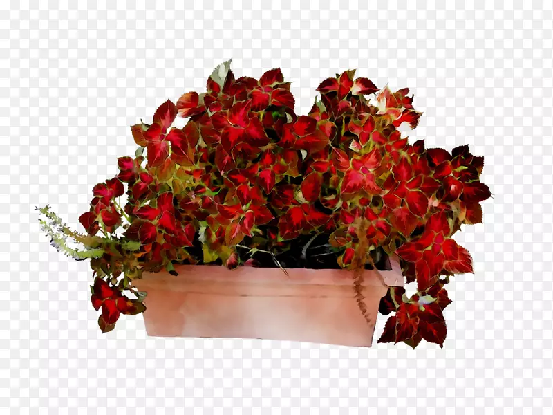 ��������л�����-������