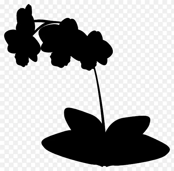 ��������ӰҶ����ֲ���֦-������