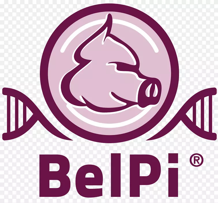 �ֲʼ����������ʼ��ձ�ajira-Bernard���-������