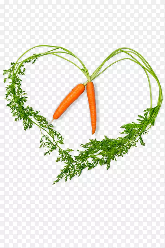 ������ͼƬ�����߲˺��ܲ�-������