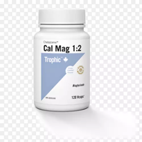 ��ʳ�����Ӫ��������Ӫ��������-����-������