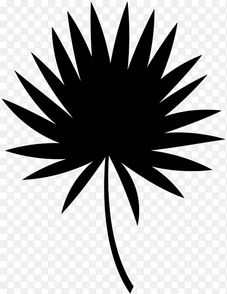 �ڰ׶Գƻ�������Ҷ-������