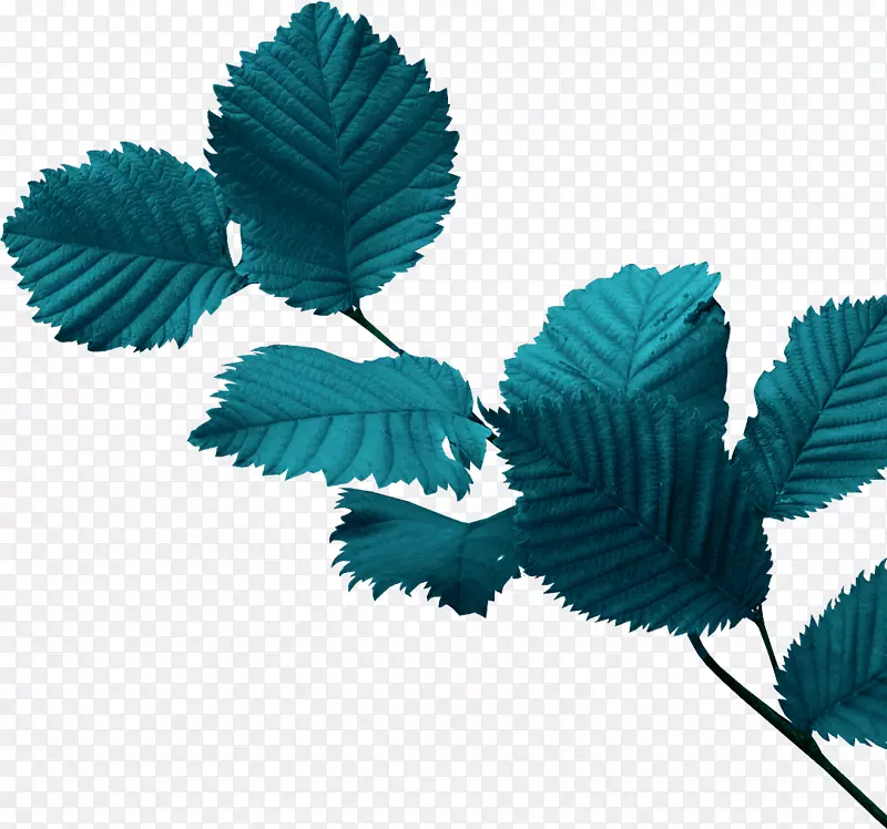 �������ⲩ����Ӱ�ռ�-������