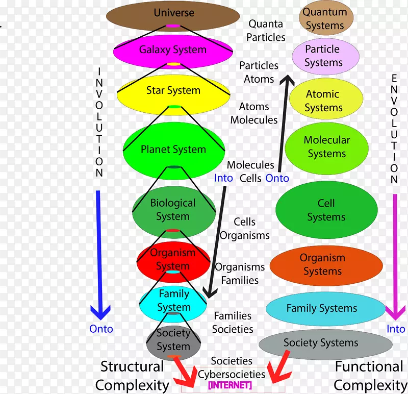 ��ѧ��ѧ����ѧ�ṹ�߼�-��ѧ-������