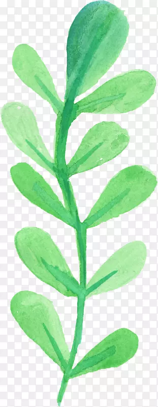 Ҷˮ�ʻ�.ˮ��-������