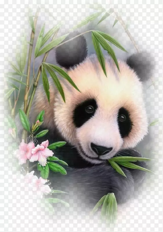 ����è�ܴ���ʮ������-������