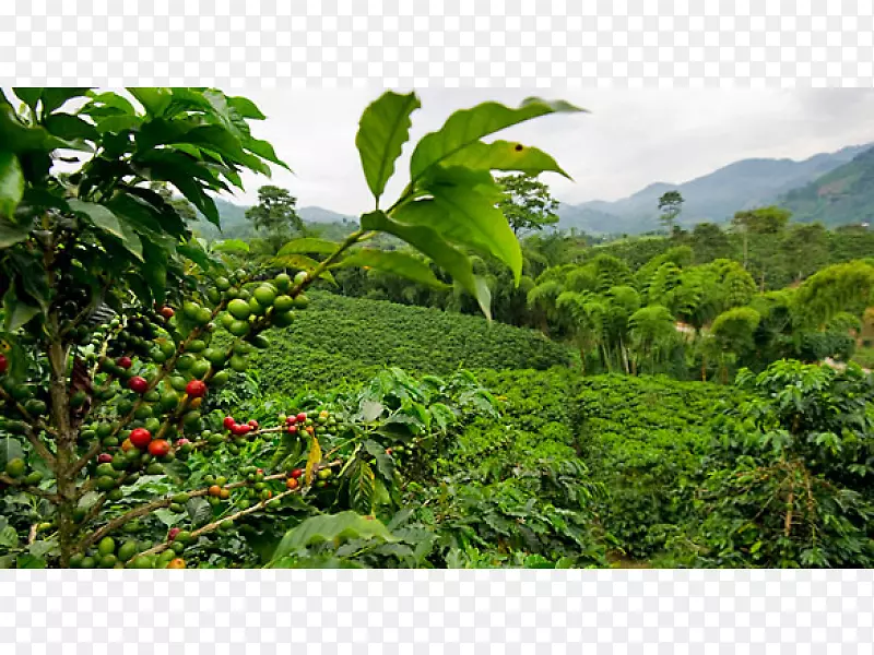 Vertere���Ⱥ決������Խ�ϱ����Ȳ�-����-������