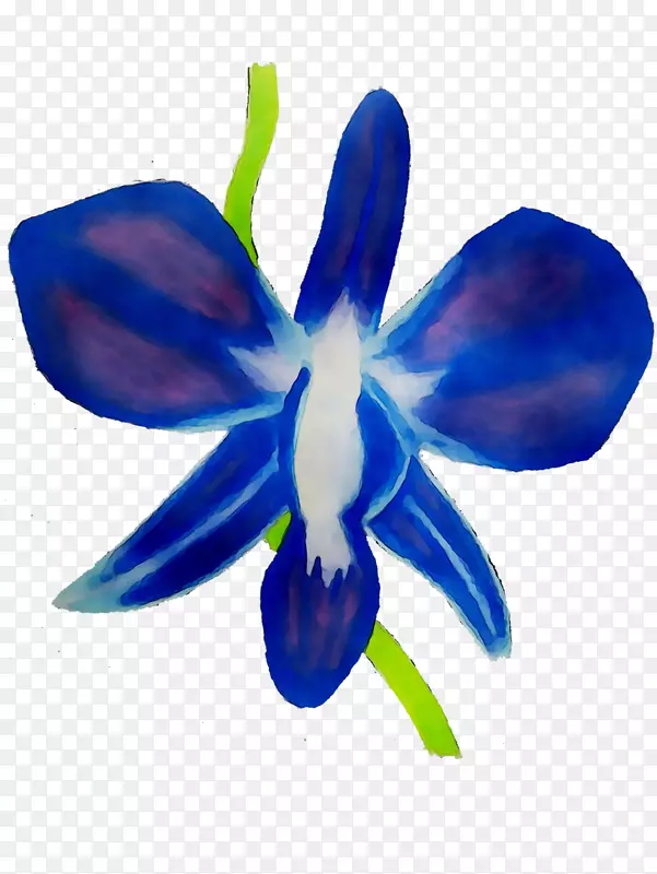 ���滨�괫�۶�����-������