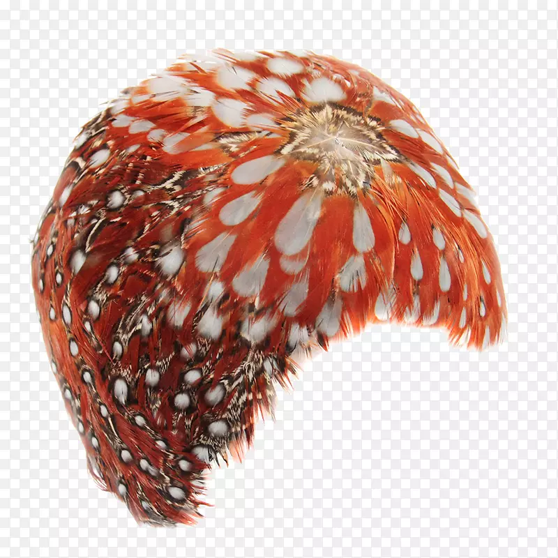 ��ɫS.A.-ͷ��-������