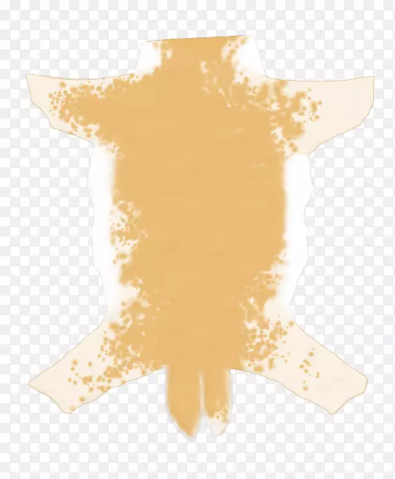 ����ɹ��-������