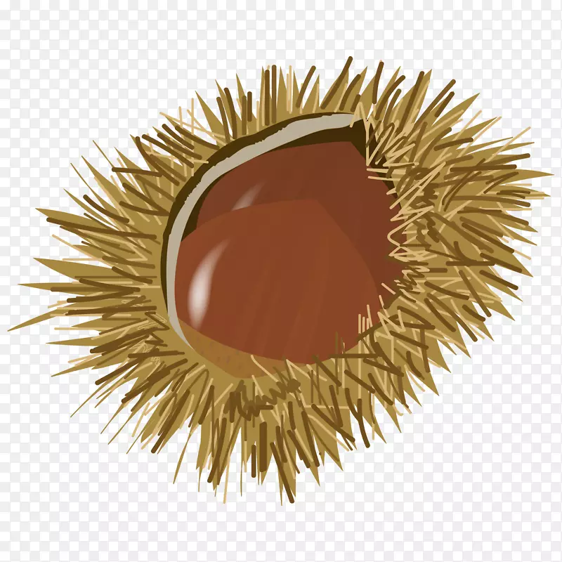 ͼ��廭�����-������