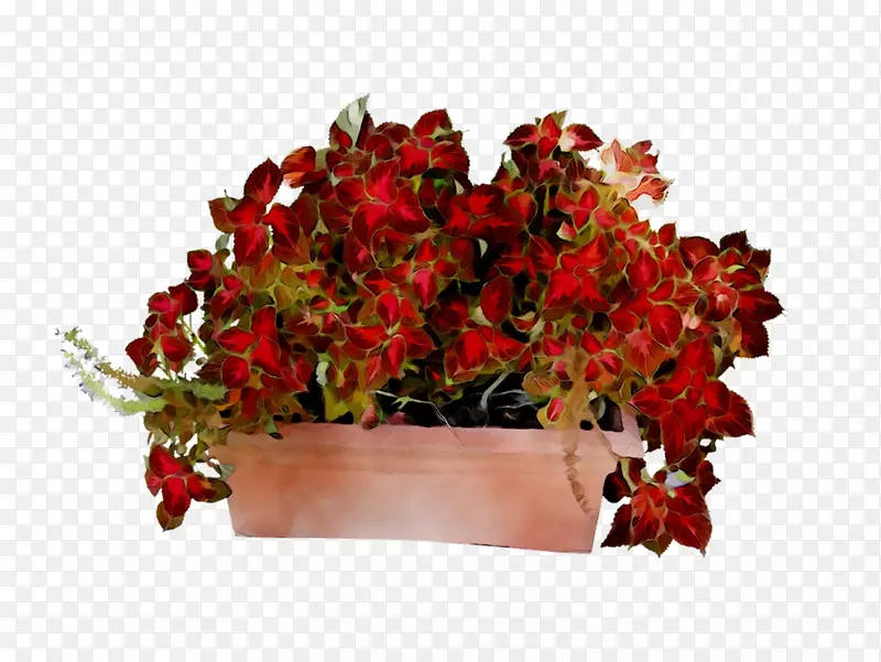 ������ƣ��л������������컨-������