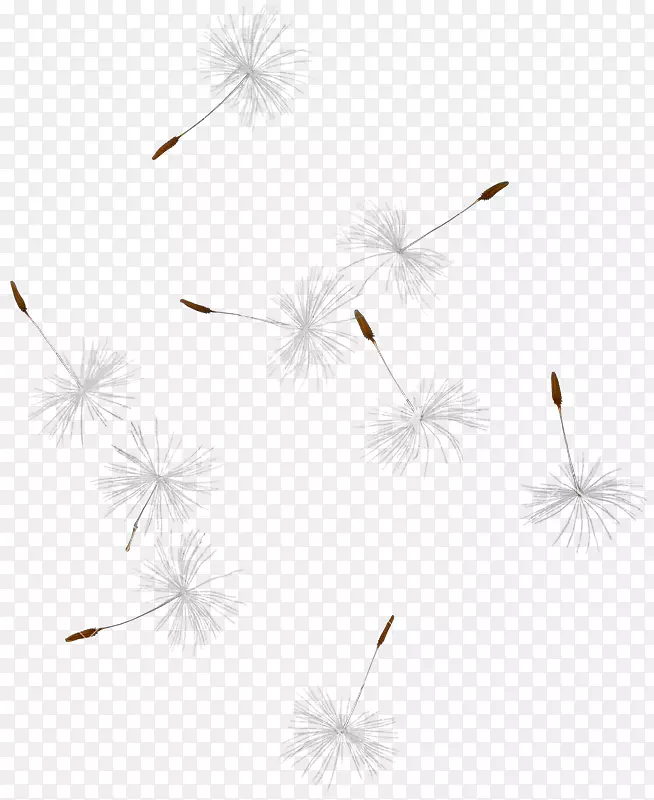 ���������ֽͼ����������ѹ�Ӣ͸��-������