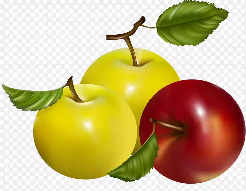 �������-��ƻ��-������