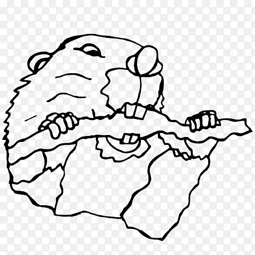 ���Ӻڰ�-m������������Ϊ.Χ����-������