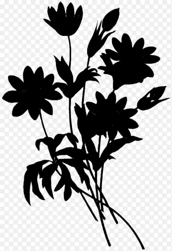 ճ�ϻ�����Ƭ��������ĭ-������