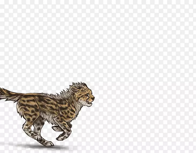 �Ա�è�ƶ���ʳ���Ա�-������