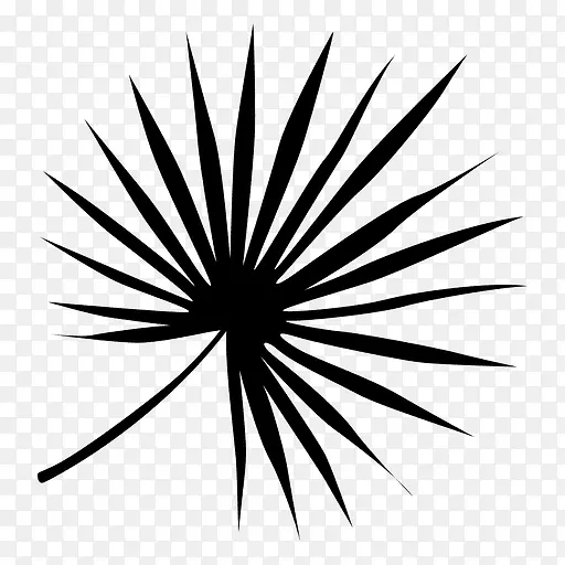 �ڰ�Ҷ�Գƽ���-������