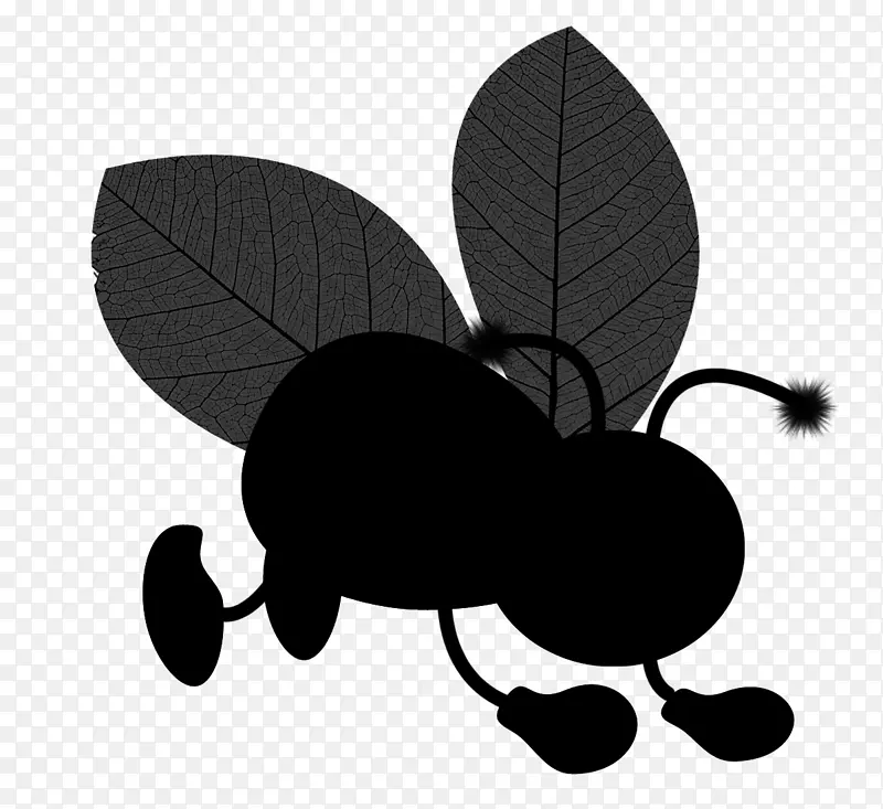 �ڰ������������Ӱ-������