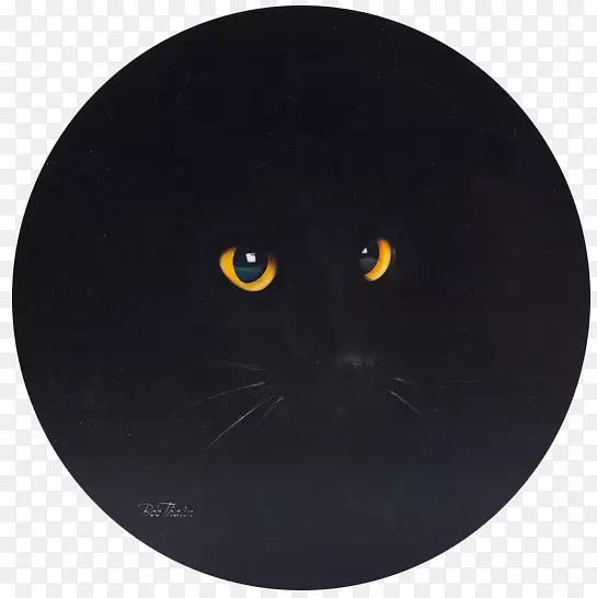 ����è���Ӻ�è-������