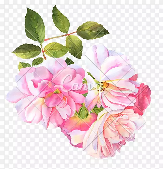 ˮ�ʻ�-������