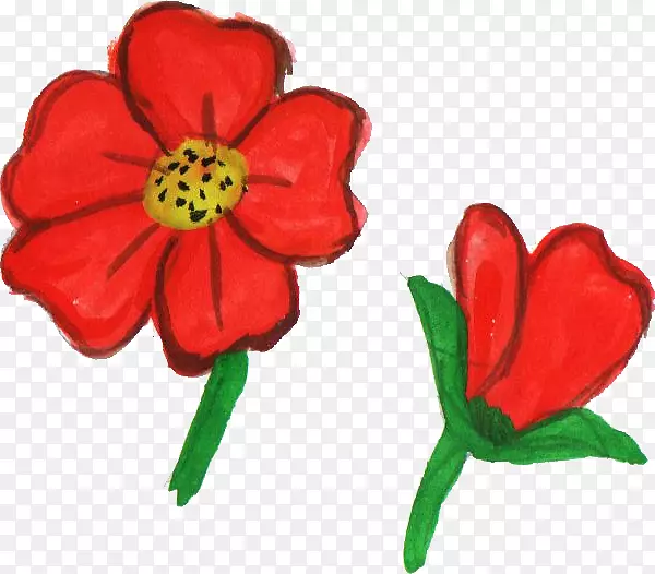 ����ֲ���л�ֲ�ﾥ��ɫˮ�ʻ�-������