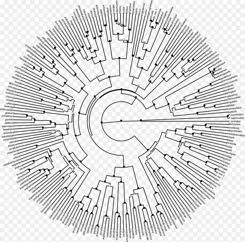 ϵͳ������ϵͳ������Ⱥͼ����-ϵͳ������-������