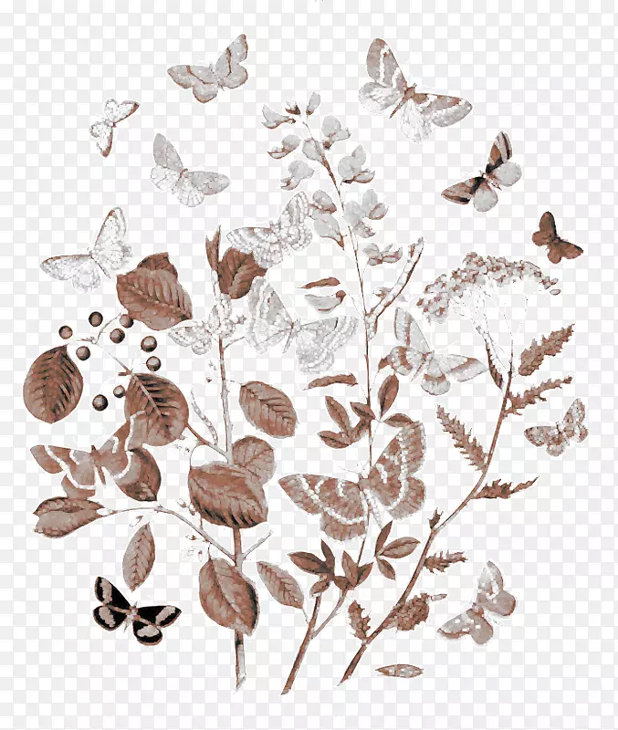 ��������ֲ��ѧ��ͼӡˢ-����-������