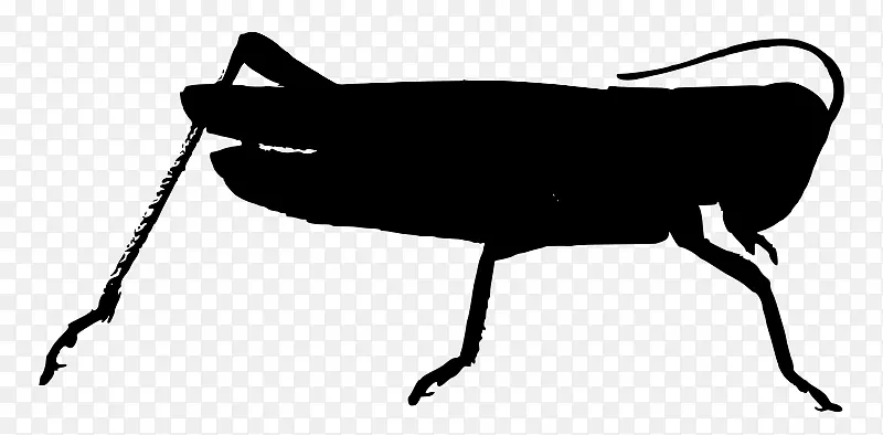 �������ڰ�-m�����Ʒ��Ӱ-������