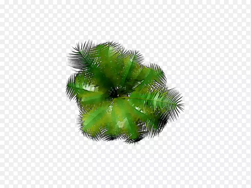 ��-������