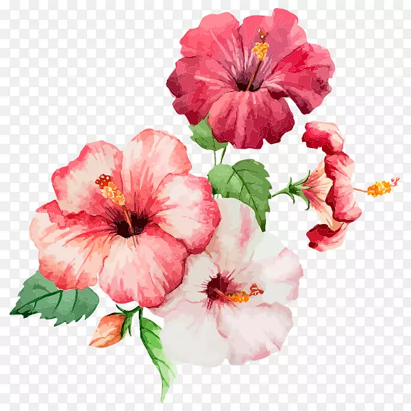 ˮ�ʻ���ˮ�ʻ��Ե��㻭.ˮ�ʻ��ۺ�ɫ-������