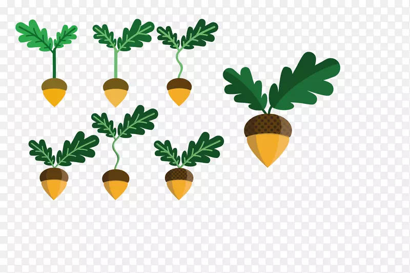 ��Ҷ������ֲ�ﾥ����ֲ��-������