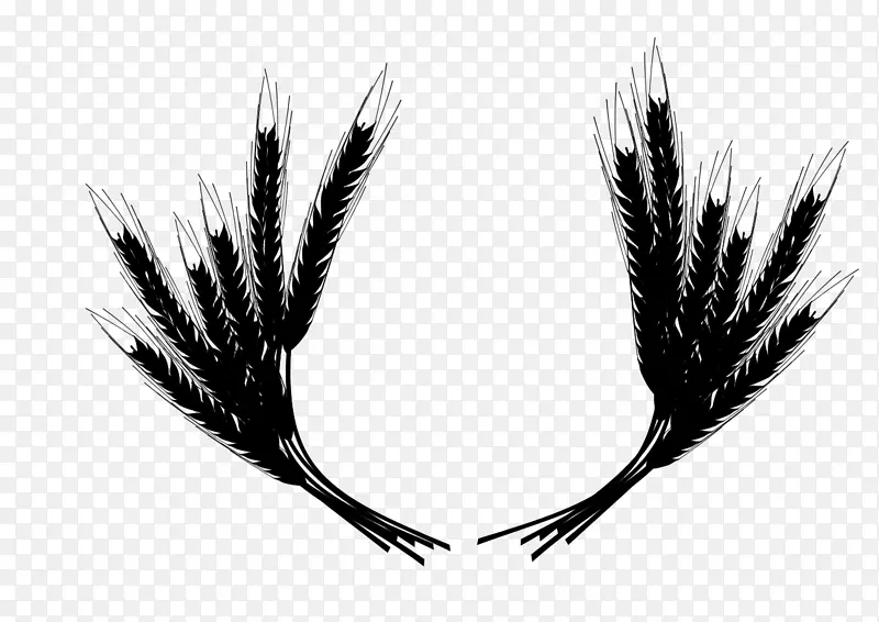 �ڰ����Ͳ�-������