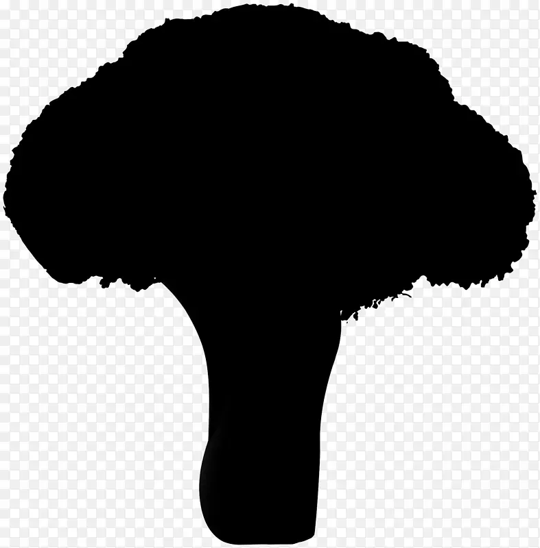 �ڰ�-m����Ӱ��ָ����-������