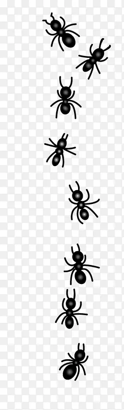 ������ͼ������pngͼƬ�������϶���-������