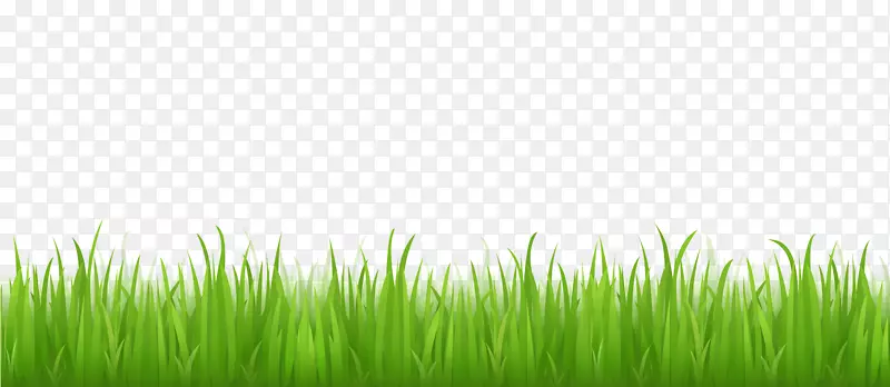 ��ƺ�����ֽ������-��-������