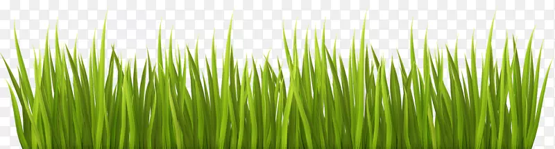 ��ƺ��԰������-��-������