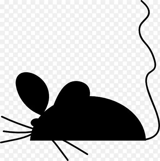 ��������Ӱ��ͨ��������-������