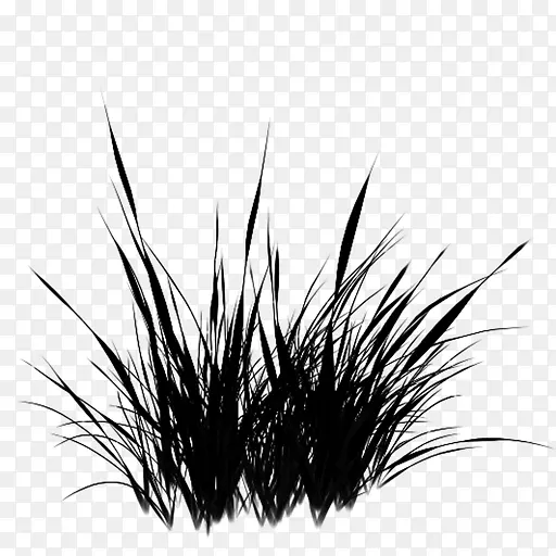 �����ֽ���Բݺ�m-������