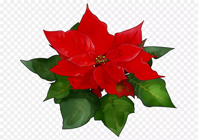 �л�ֲ�ﻨ�������-������