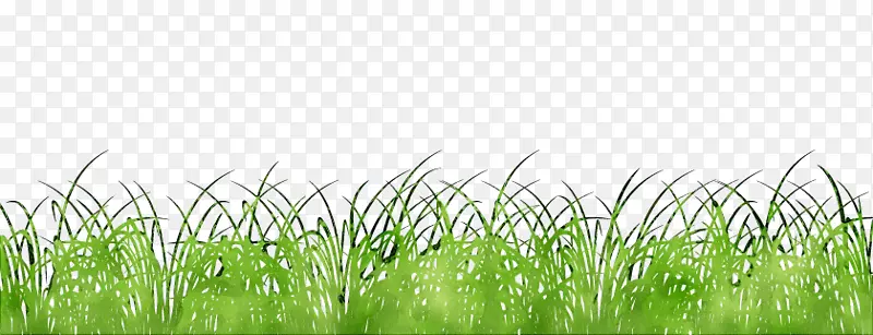 ��������ֽͼƬ������-������