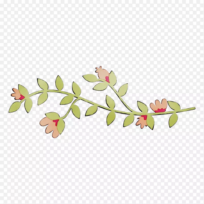 ������ֲ�ﾥ�����Ҷ-������